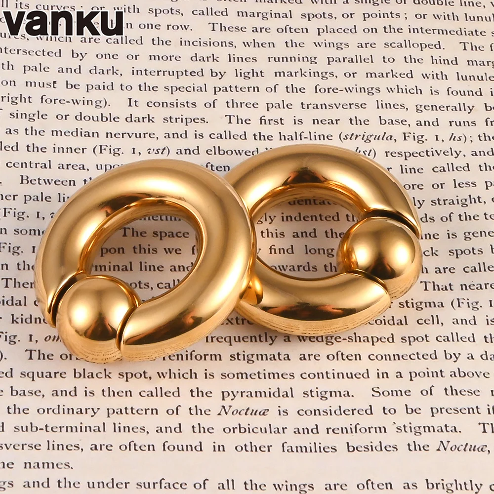 Vanku 2pcs Stainless Steel Ear Piercing Weights Stretcher Expander Ear Gauge Round Ball Closure Nose Septum Ring Jewelry