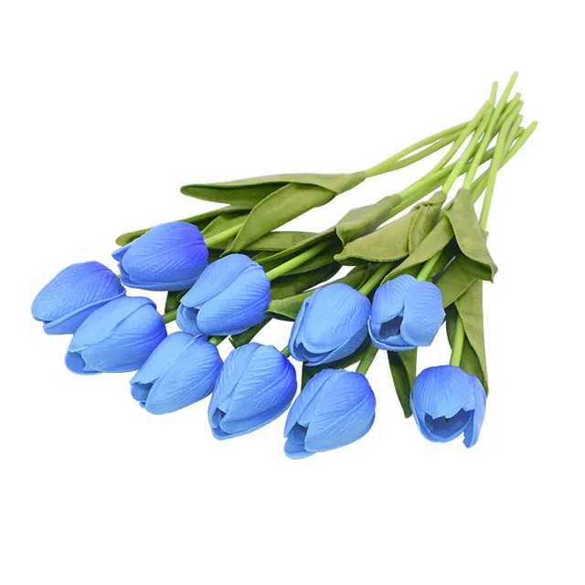 Image 27