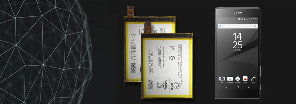 CSlogo SONY LIS1579ERPC (2)