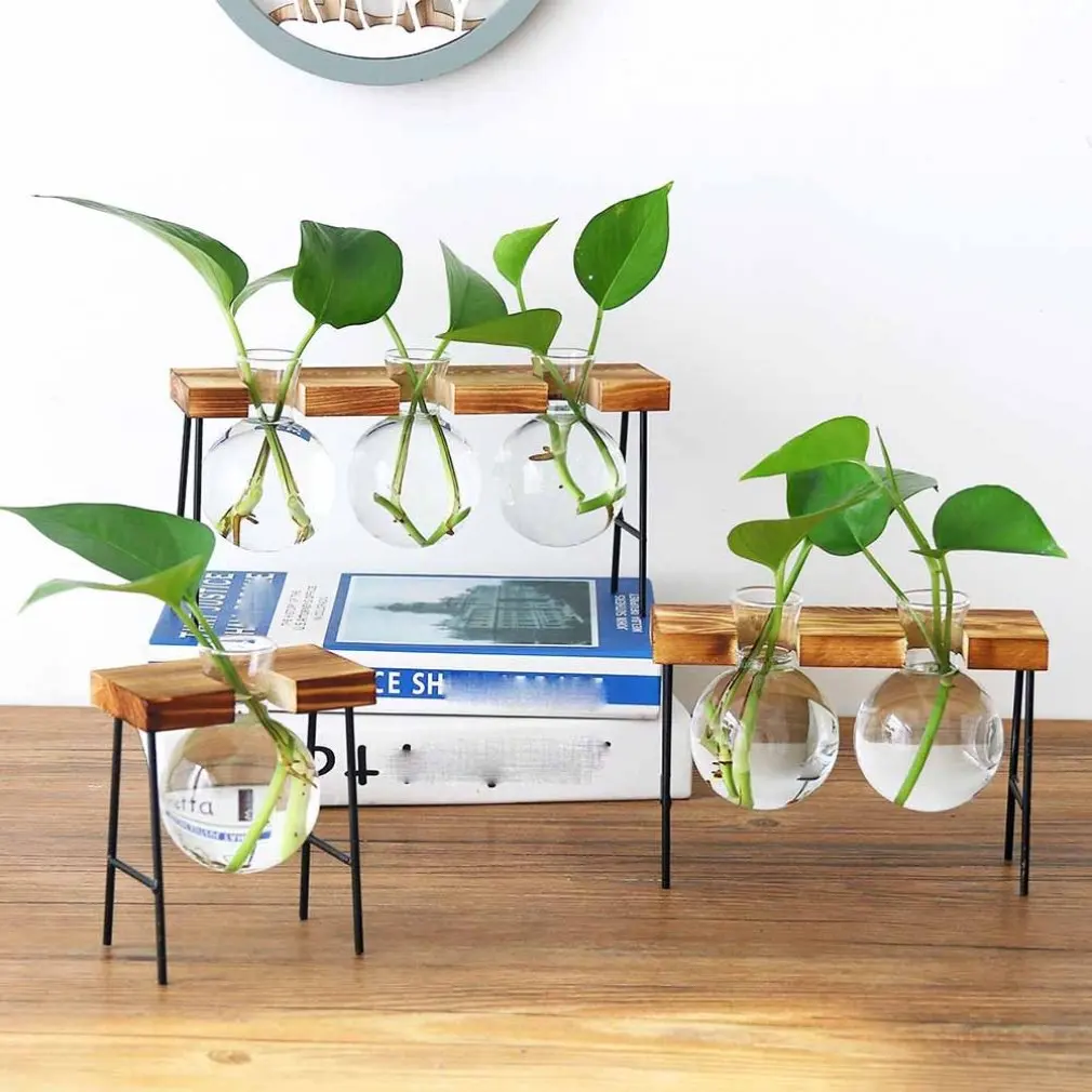

Creative Wrought Iron Hydroponic Vase Small Fresh Living Room Decoration Flower Arrangement Glass Transparent Small Flask