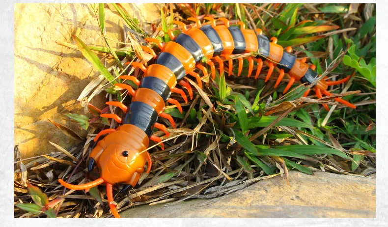 Animal com Usb Presentes de Natal Crianças Infravermelho Cobra Naja Ovo Viper Controle Remoto Robô Brinquedo Engraçado Aterrorizante Modelo Brinquedos rc 40 High Quality Brinquedos e hobbies