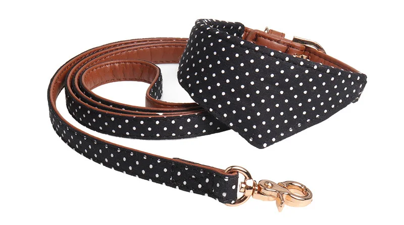 puppy leash