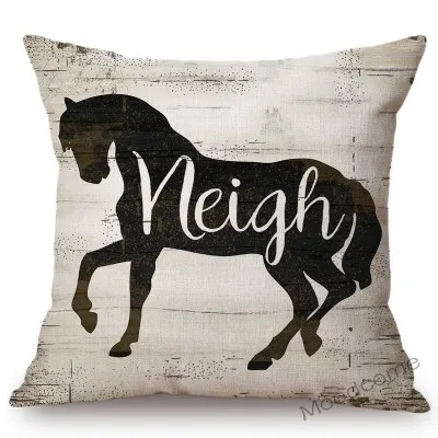 conew_n221 (5) 副本