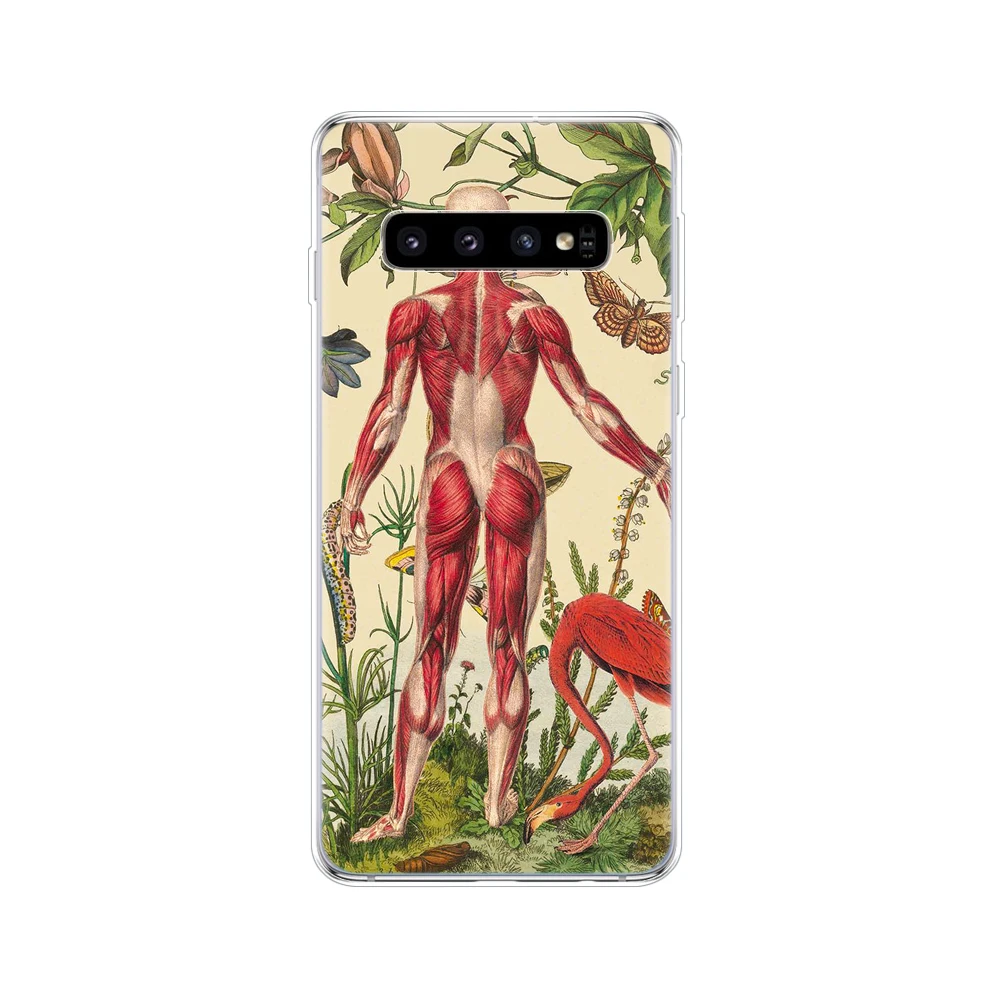 Чехол для samsung Galaxy S10 S10+ бампер силиконовый чехол из ТПУ для samsung S10 Plus copas G975F S 10 SM-G973F s10 e fundas cute - Цвет: 34532