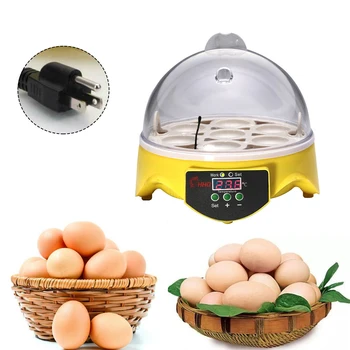 

Digital Mini 7 Egg Incubator Poultry Bird Pet Hatcher Clear Temperature Control