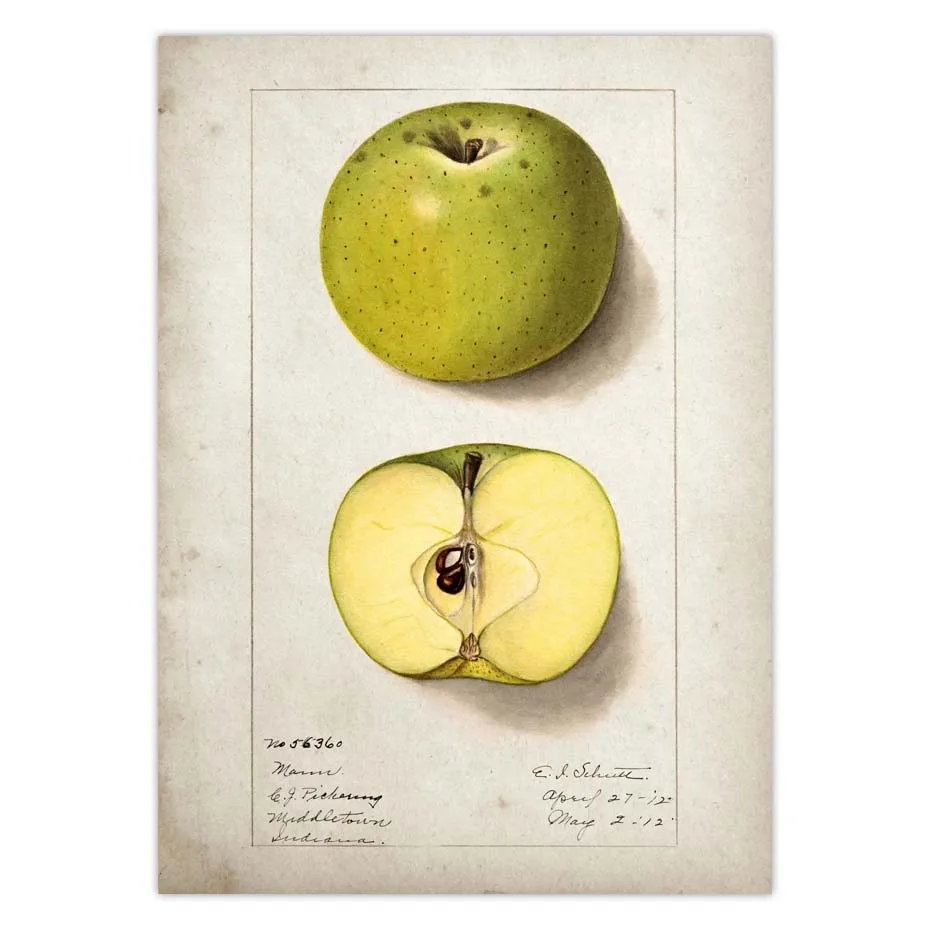 Hb402e1082a27422dbaebf2d195558a21U