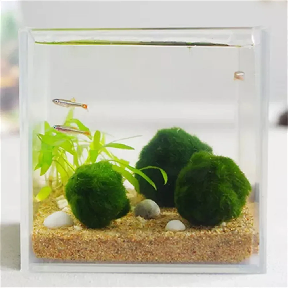 Япония Подлинный аквариум мяч Ландшафтный 1 см хлорелла водоросли Marimo Happy окружающей среды зеленый шарик из морской водоросли EZLIFE PT0305