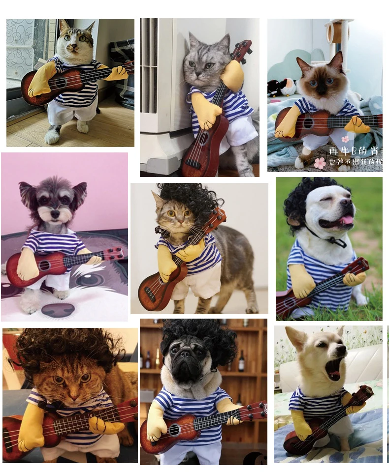 Spring Summer Pet Cat Clothes Funny Guitarist Change Outfit Costume for Cats Small Dogs Kitten Chihuahua Poodle Pet Cosplay (3)