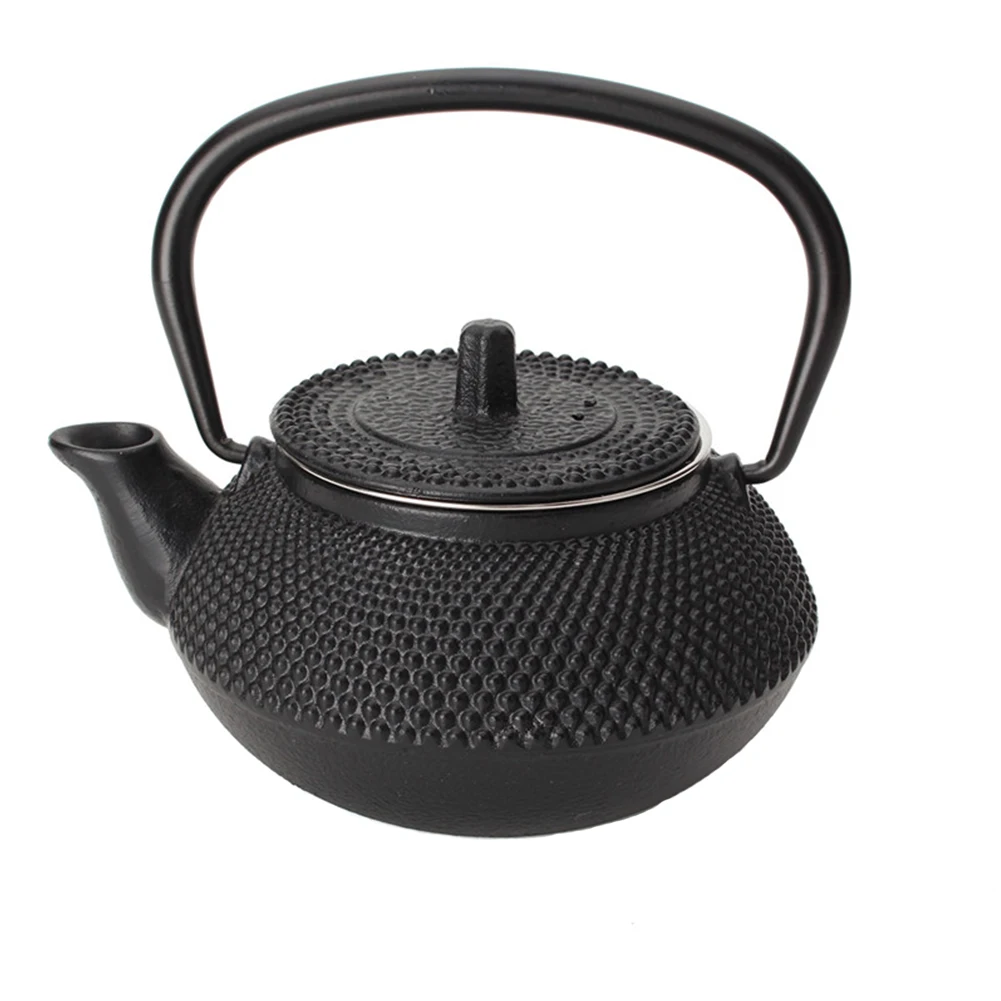 

Durable Japanese Style Portable Accessories Household Teaware Cast Iron Teapot Long Mouth Strainer Tetsubin 300ml Kettle Coffee