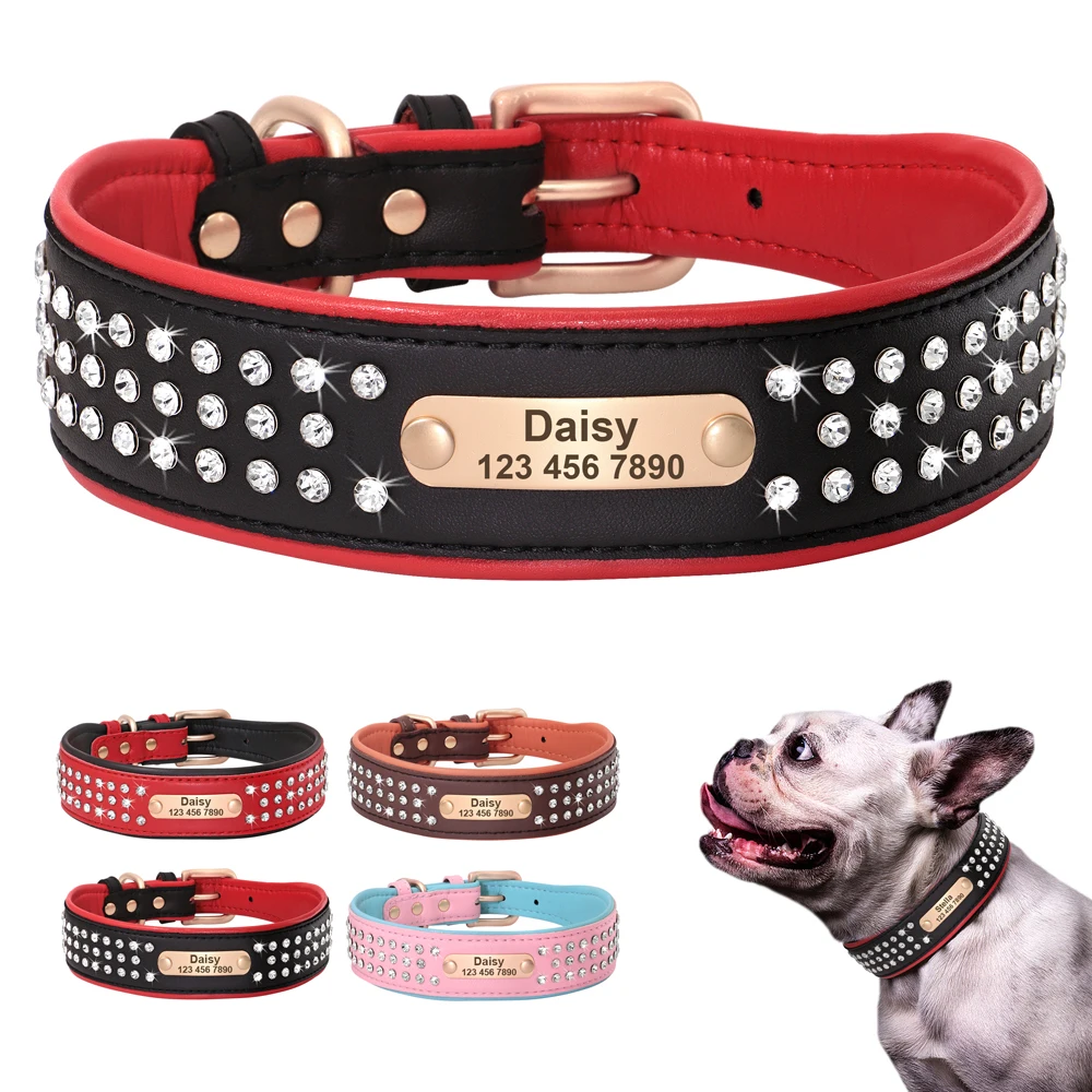 Personalized French Bulldog Collar