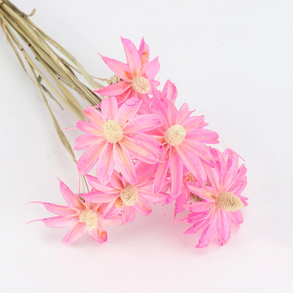 12 Pcs Natural Flower Violet Bundle Preserved Flower DIY Handmade Art Flower Wedding Home Decoration Dried Flower Decoration