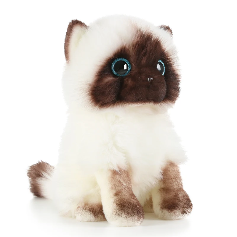 20/26cm Simulation Siamese Cat Plush Toy Blue Sequins Eyes Dolls Brown and White Face Ragdoll Cats Home Decor Cute Gift for Baby