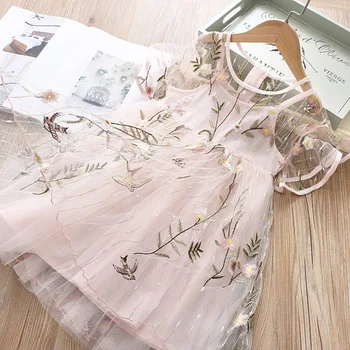 

2020 Summer Girls Flower Embroidered Dress Baby Wear