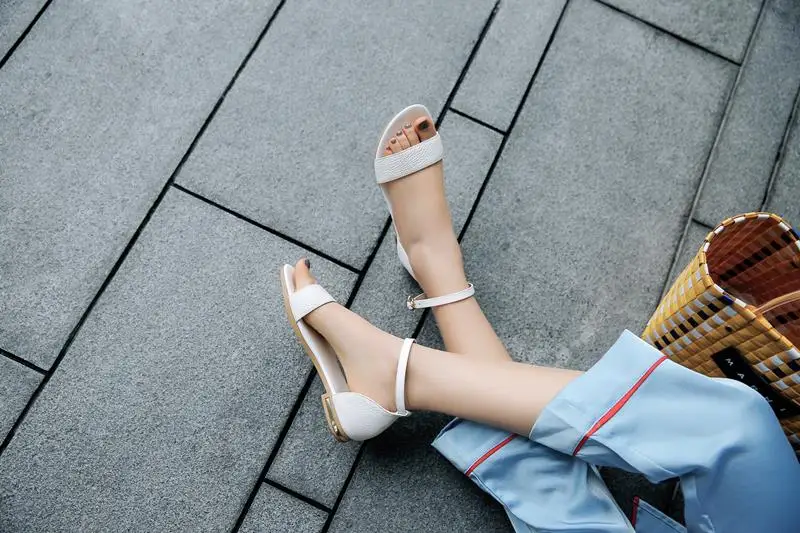 484A9979