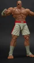 

Storm Toys Sagat 1/12 Action Figure Model Full Set Toys for Fans Collection White version