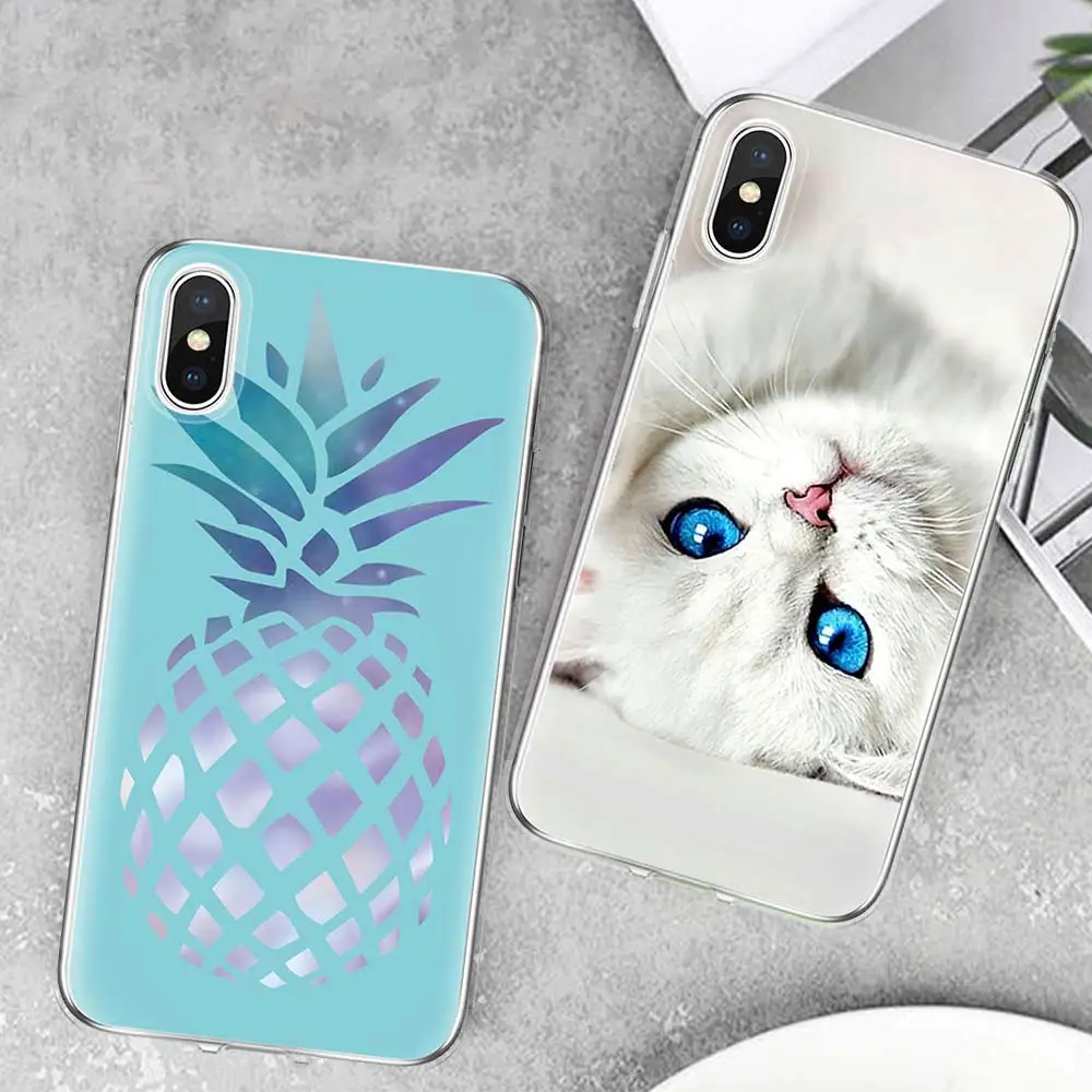 蓝底菠萝、蓝眼猫