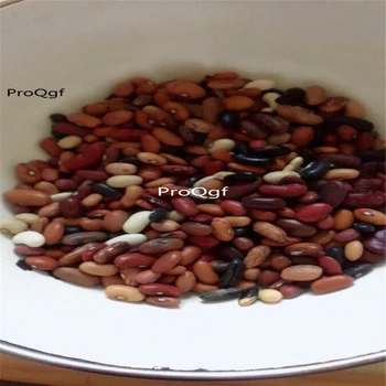 

Prodgf 500Pcs A Set mixed random color kidney bean