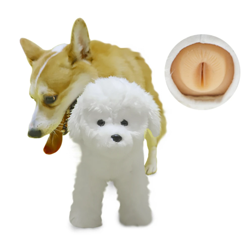 juguetes para cachorros chihuahua