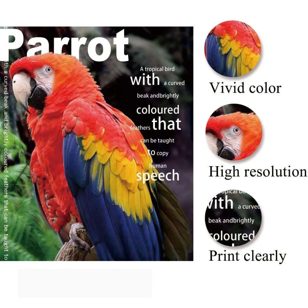 Hb9b202e2d497404b81821cf523586fb0M