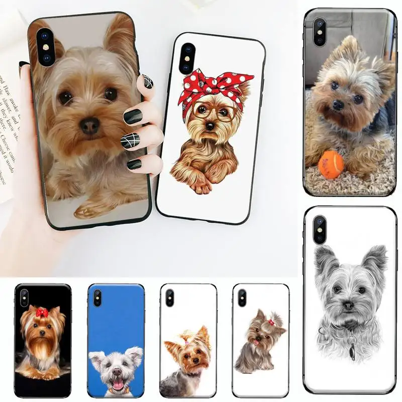 

yorkshire terrier dog Phone Case for iPhone 11 12 pro XS MAX 8 7 6 6S Plus X 5S SE 2020 XR
