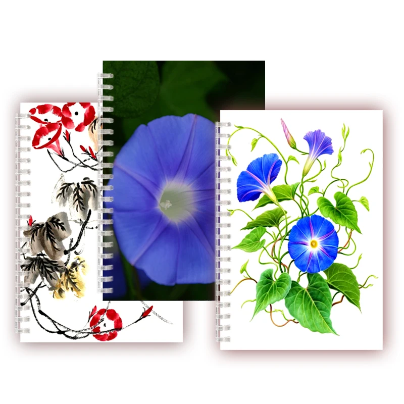 Morning Glory Spiral Notebook Inspirational Plant Ipomoea Nil Flower Notepad Chinese Ink Wash Painting Sketch Book Blank Page