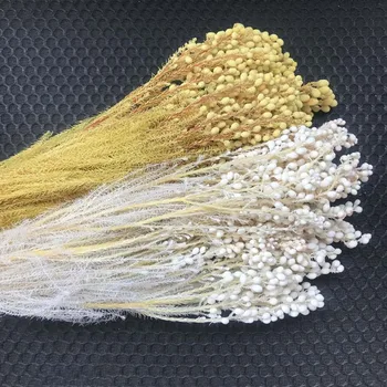 

About30g/30-35CM Natural Fresh Preserved Coralline Flower,Fleur Eternelle Millet Bouquet,Home Decor,Wedding Flowers Decorations