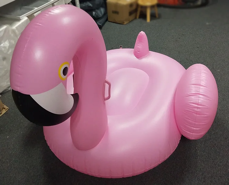 swan swimming pool