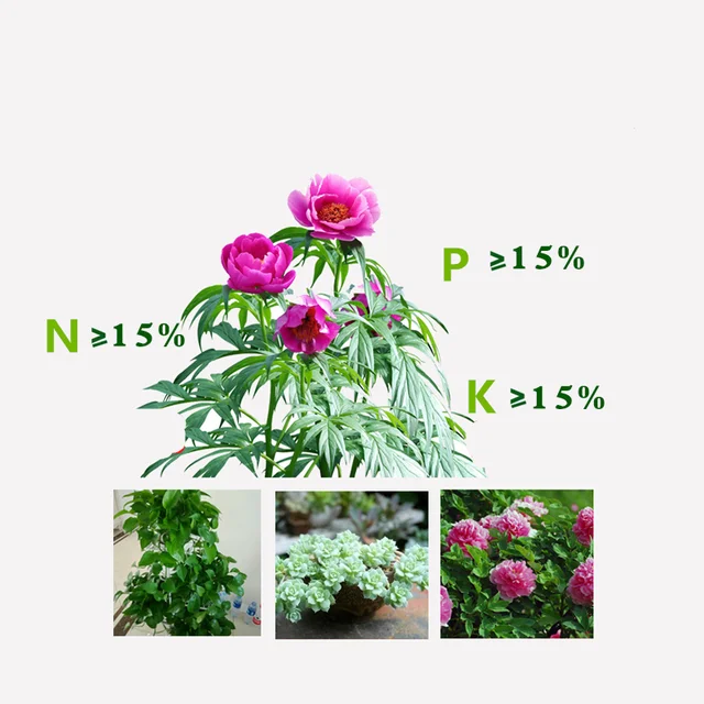200G, Gyors Hatású Összetett Műtrágya Általános Célú Háztartás Npk Lassú Felszabadulású Ökológiai Otthoni Kertészethez - Image 4