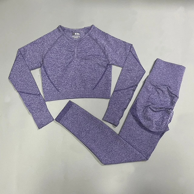 Seamless Women Yoga Set High Waist Yoga Pants Gym Clothing Women Sportswear Sport Shorts Sports T-shirt Workout Gym Set 2Pcs Set Purple