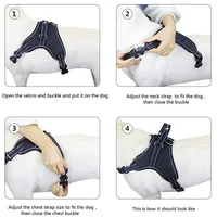 Adjustable Reflective Dog Vest