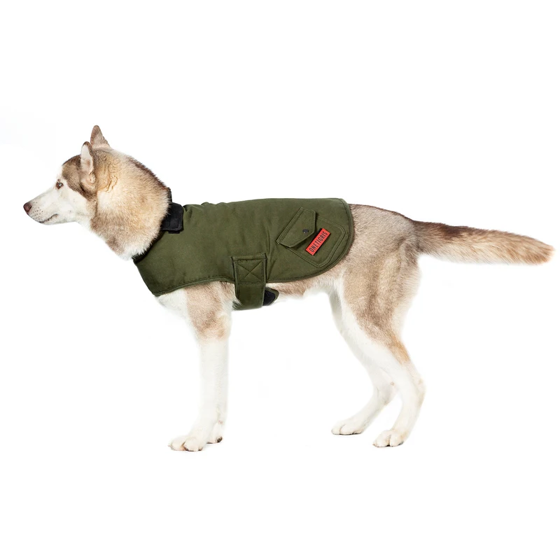 dog field jacket