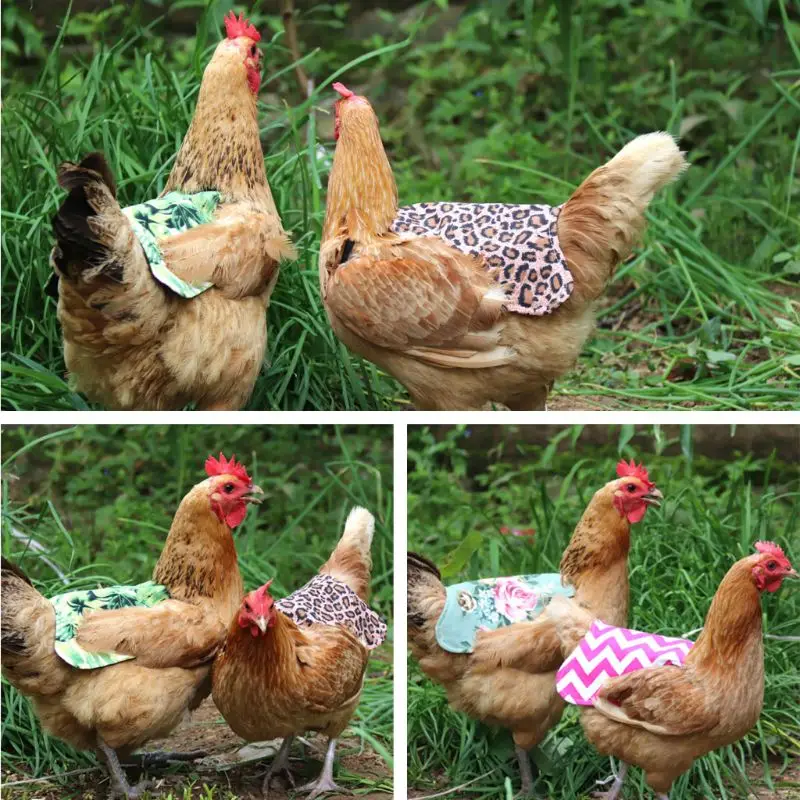 Adjustable Pet Clothes Hen Apron Poultry Hen Saddle Apron Feather Protection Holder Chicken Protector Hen Dress