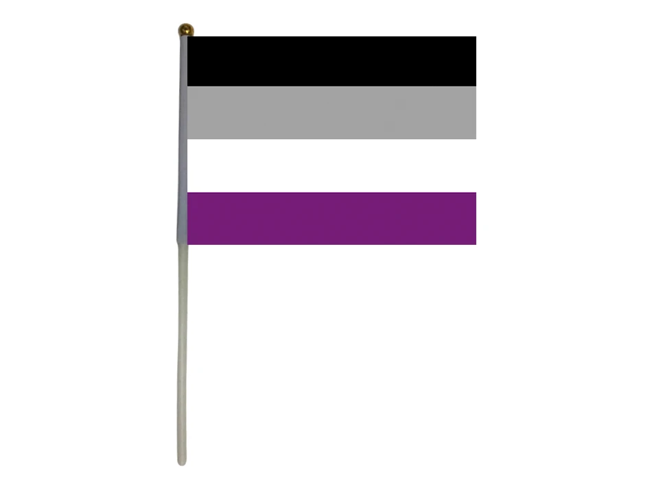 xvggdg 100 шт 14*21 см заказной ручной флаг LGBTQIA Ace commerity asexual pride Hand flags