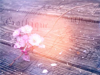 

Vinyl Custom Flower Photography Backdrops Props Photo Studio Wood Planks theme Background 20220-22