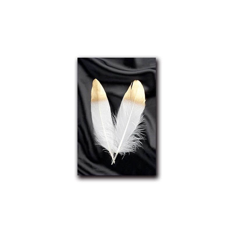 Black-White-Golden-Feather-Abstract-Wall-Poster-Nordic-Canvas-Print-Painting-Contemporary-Art-Decoration-Picture-Living (7)