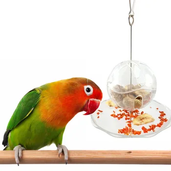 

Parrots Foraging Toy Transparent Hanging Bird Feeder for Parrots Budgie Parakeet Cockatiel