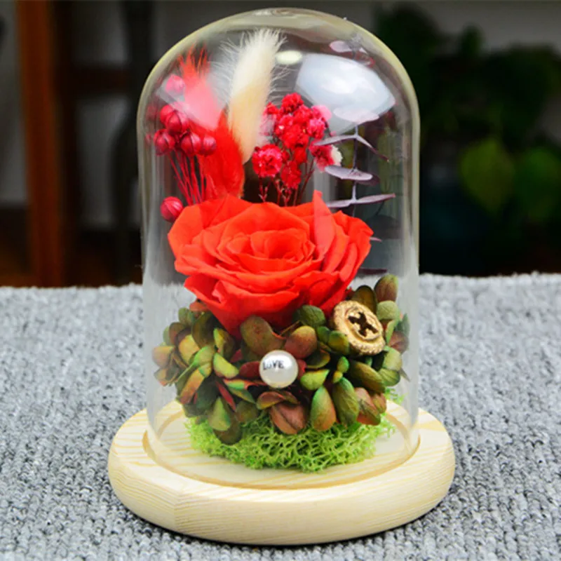 Diameter=10cm Different Height=12cm 15cm 18cm Log Base Glass Dome Home Decoration DIY Cover Friend Favor Gift Wedding Live Prop 5