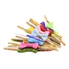 Festive & Party Supplies