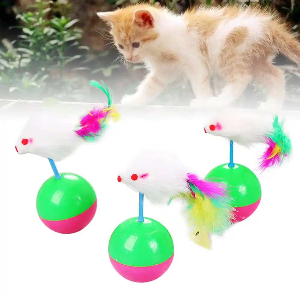 round cat toy
