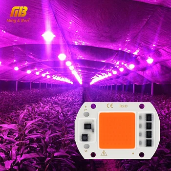 

LED Grow COB Chip Phyto Lamp Full Spectrum AC220V 10W 20W 30W 50W For Indoor Plant Seedling Grow and Flower Growth Fitolamp