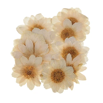 

10x Pressed Dried Real Ice Flowers For DIY Scrapbooking Art Crafts Necklace