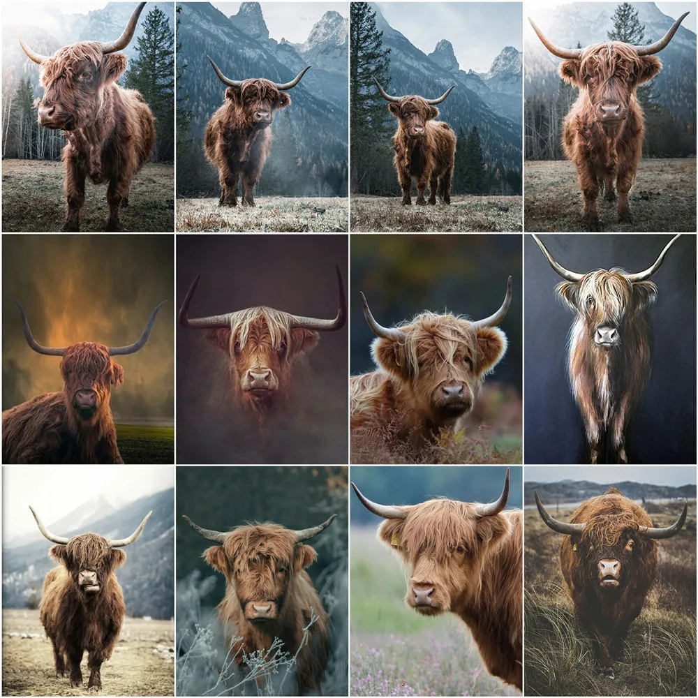 Paint Oil Paintings Numbers Highland Cow Paint Numbers Oil Painting