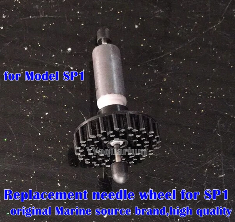 SP1-1-yy-order option