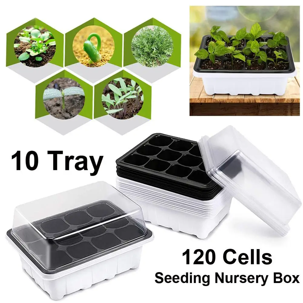 

10Pcs Seedling Tray Seed Starter Tray with Dome and Base 12 Cells Seed Germination Plants Propagation For Gardening Bonsai