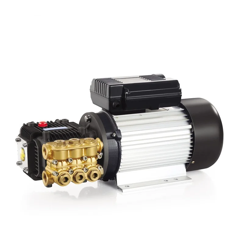 Brass Triplex Plunger Pump Fogging Pump 