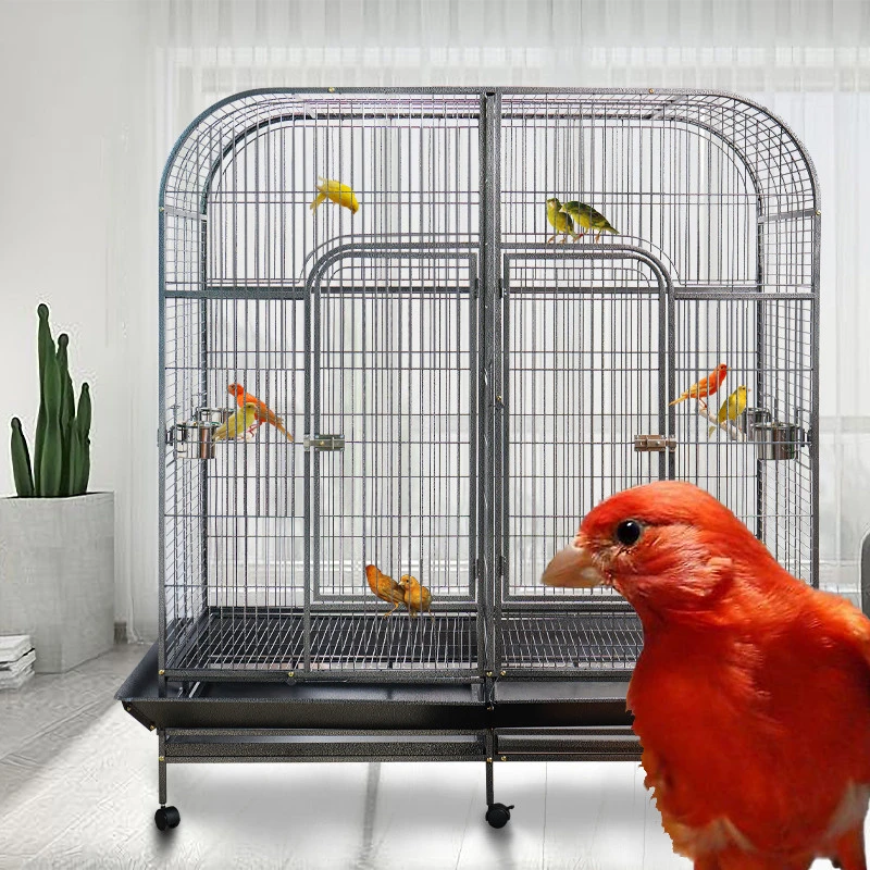 bird cages for large birds