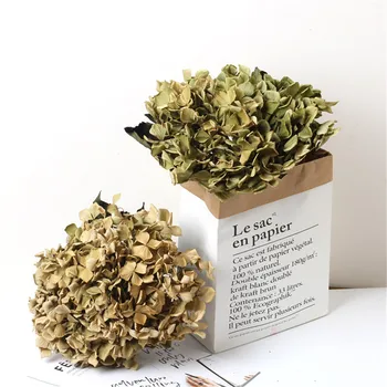 

Raw color 1 pc natural preserved Flowers dried hydrangea flower head For DIY home life flowers material