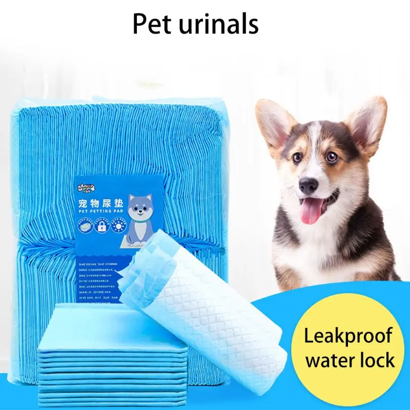 dog diapers cvs