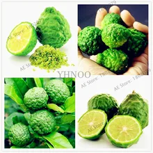 50 шт./пакет лаймовой карликовые деревья, вкусный горшок органические фрукты завод(соковыжималка для цитрусовых Aurantifolia), фруктов и принтами в виде лимонного дерева для дома и сада