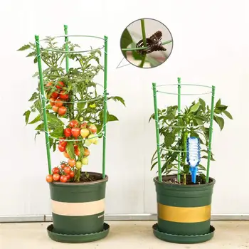 

4 Pack Plant Support Tomato Cage With 3 Adjustable Rings Trellis For Climbing Plants Plant Trellis Kits With 4 Self Watering Spi